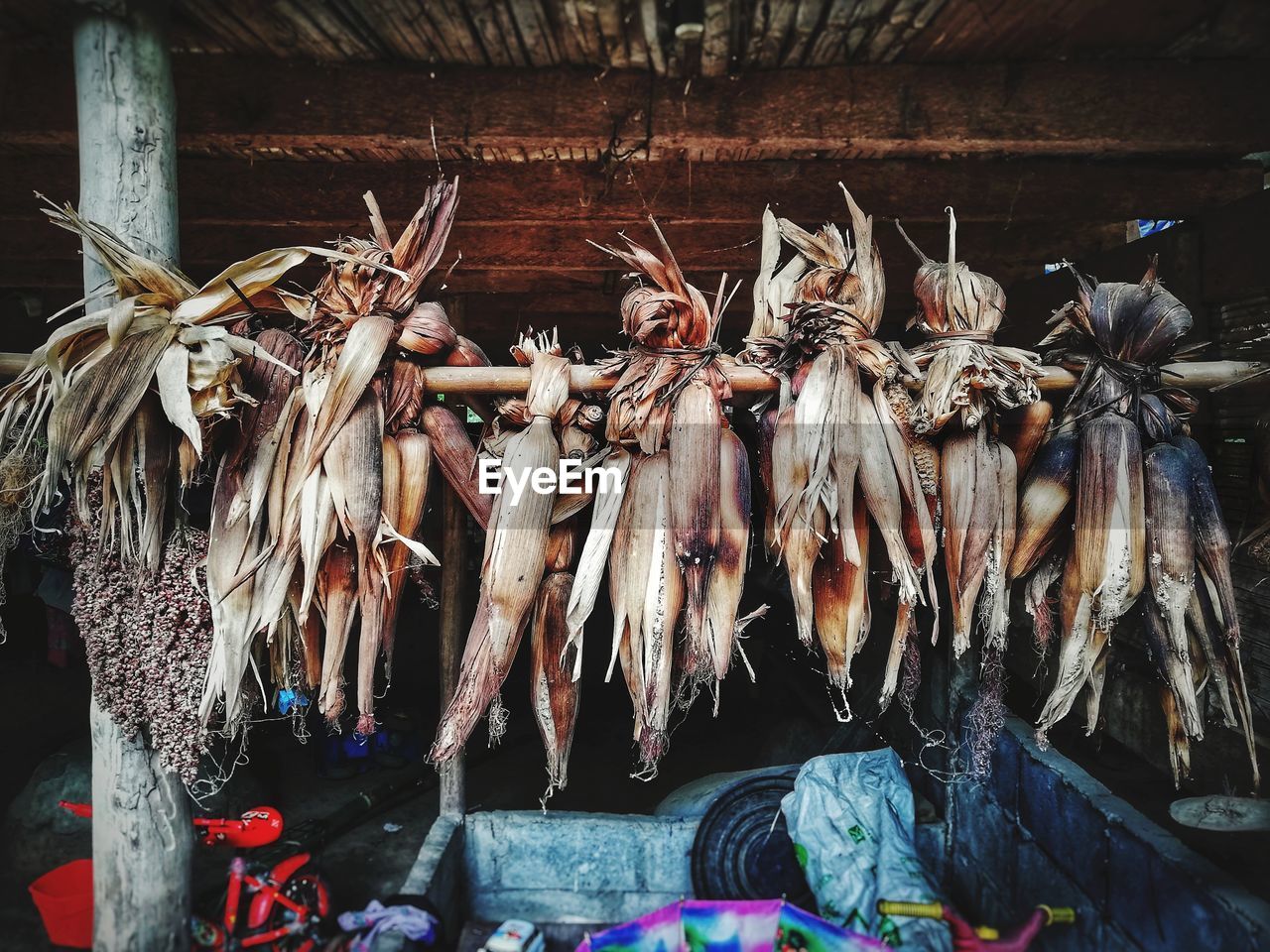 VIEW OF FISH FOR SALE IN MARKET