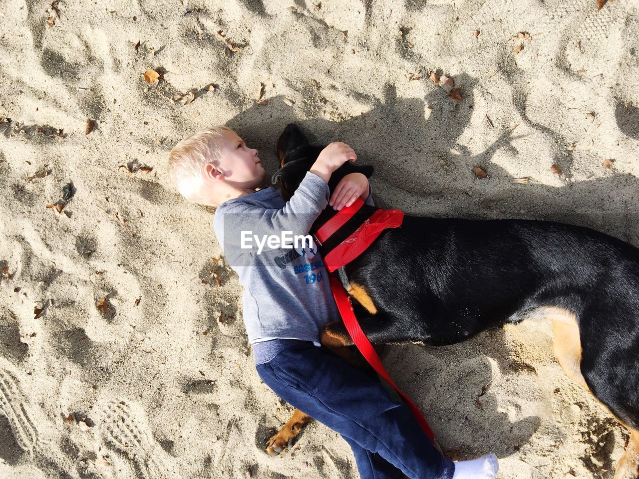 High angle view of boy with dog at beach