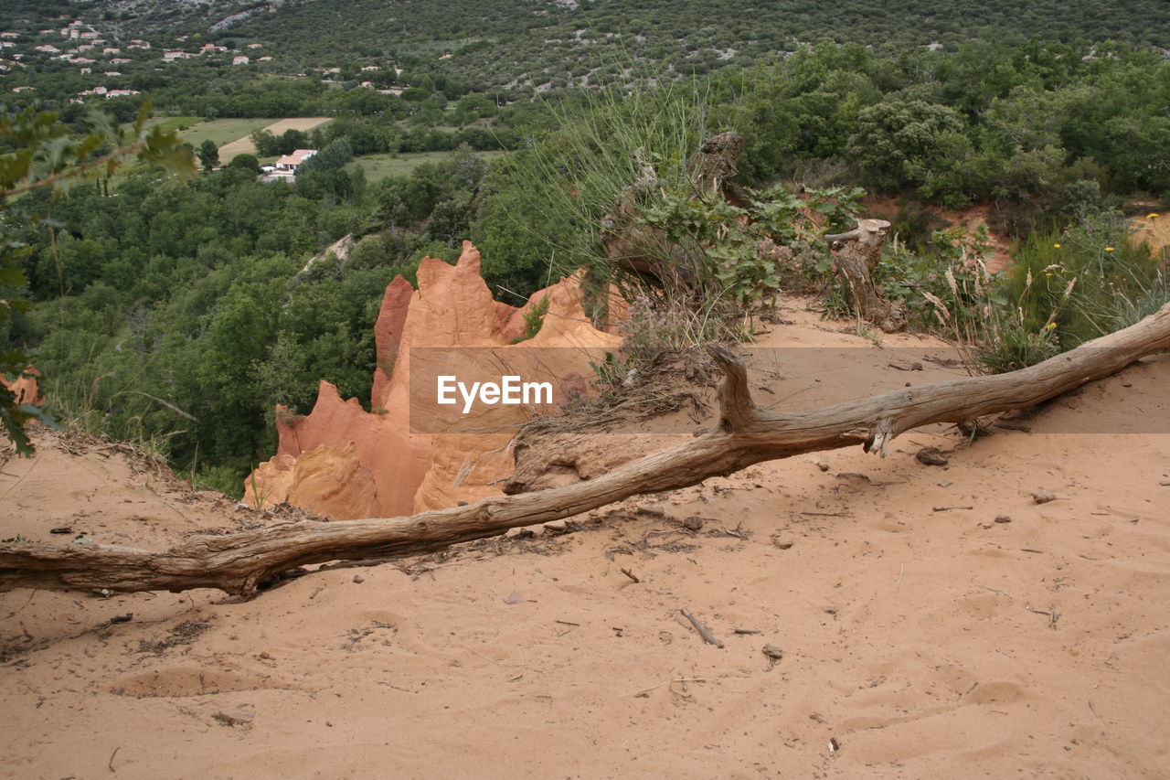 SCENIC VIEW OF LAND AGAINST TREES