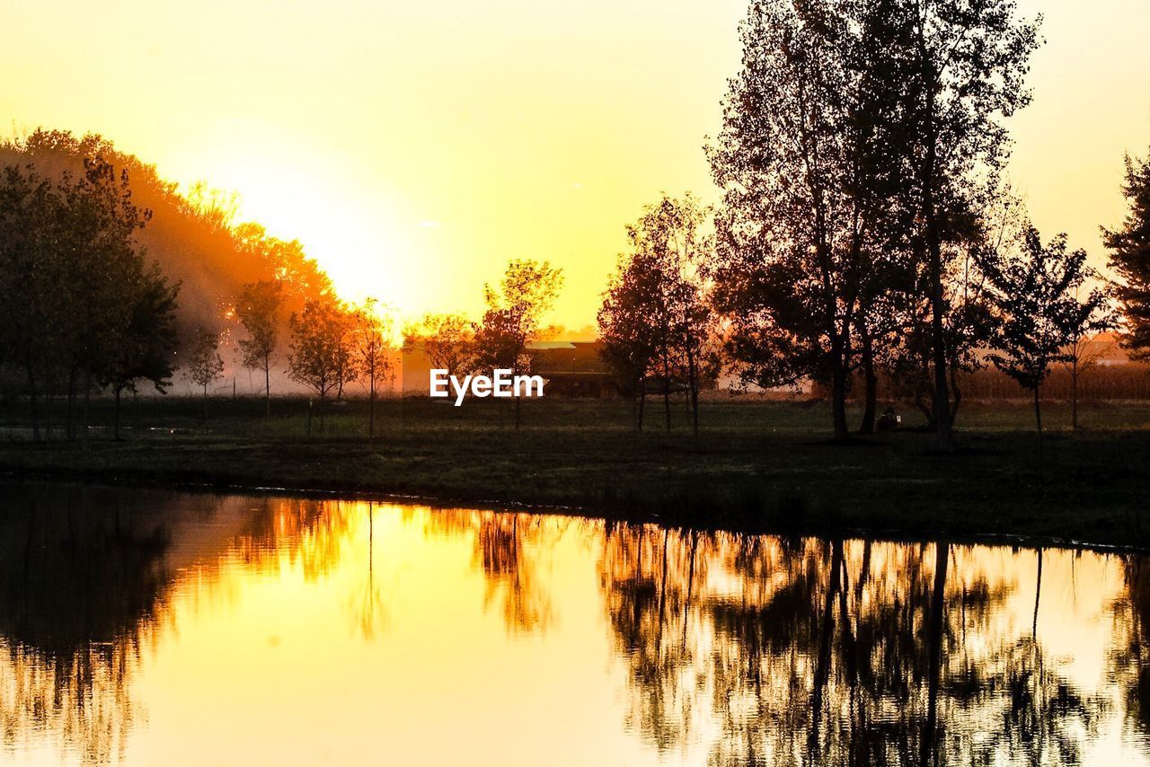 REFLECTION OF SILHOUETTE TREES ON LAKE DURING SUNSET