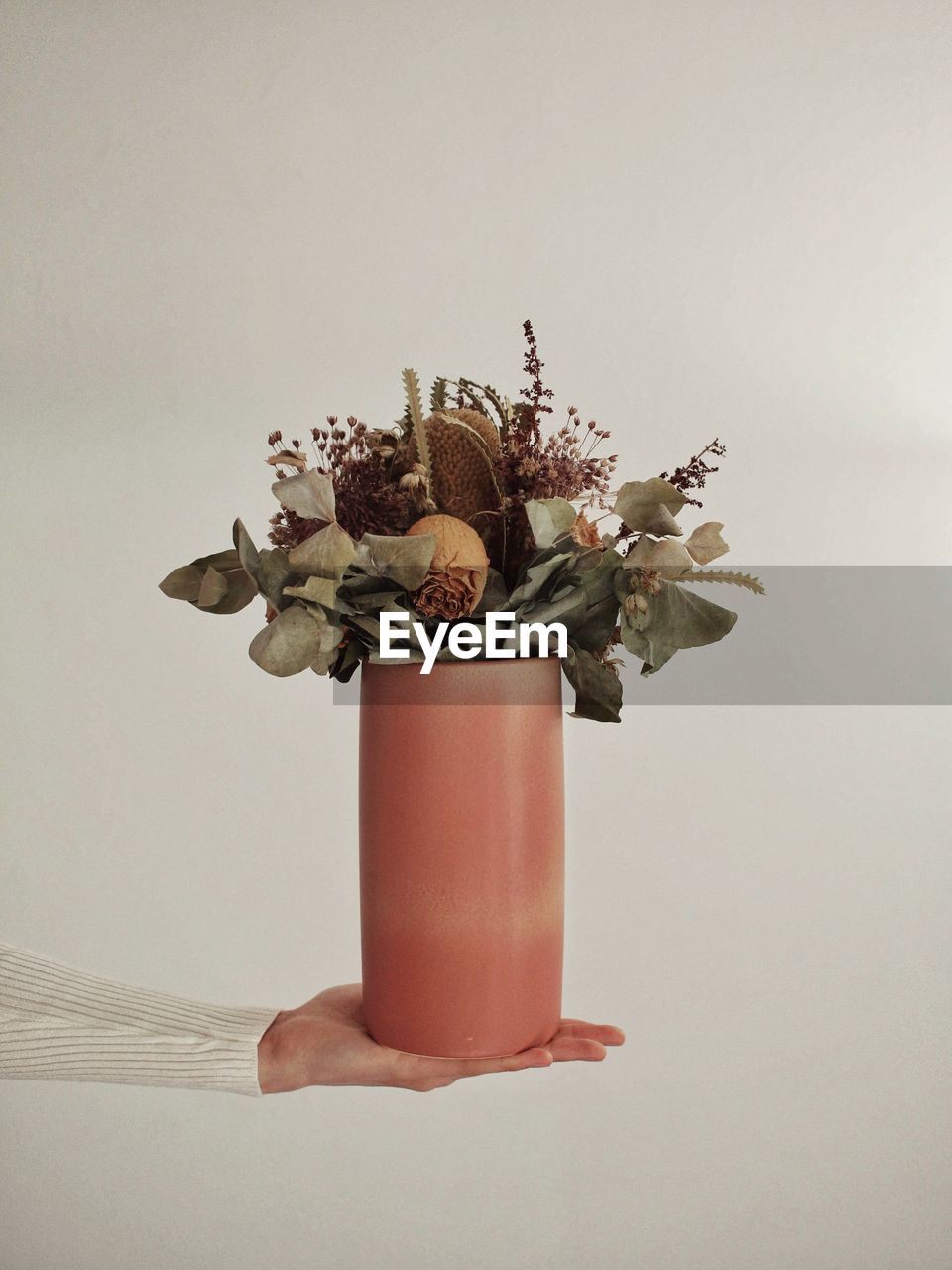 Cropped hand of woman holding flower pot against gray background