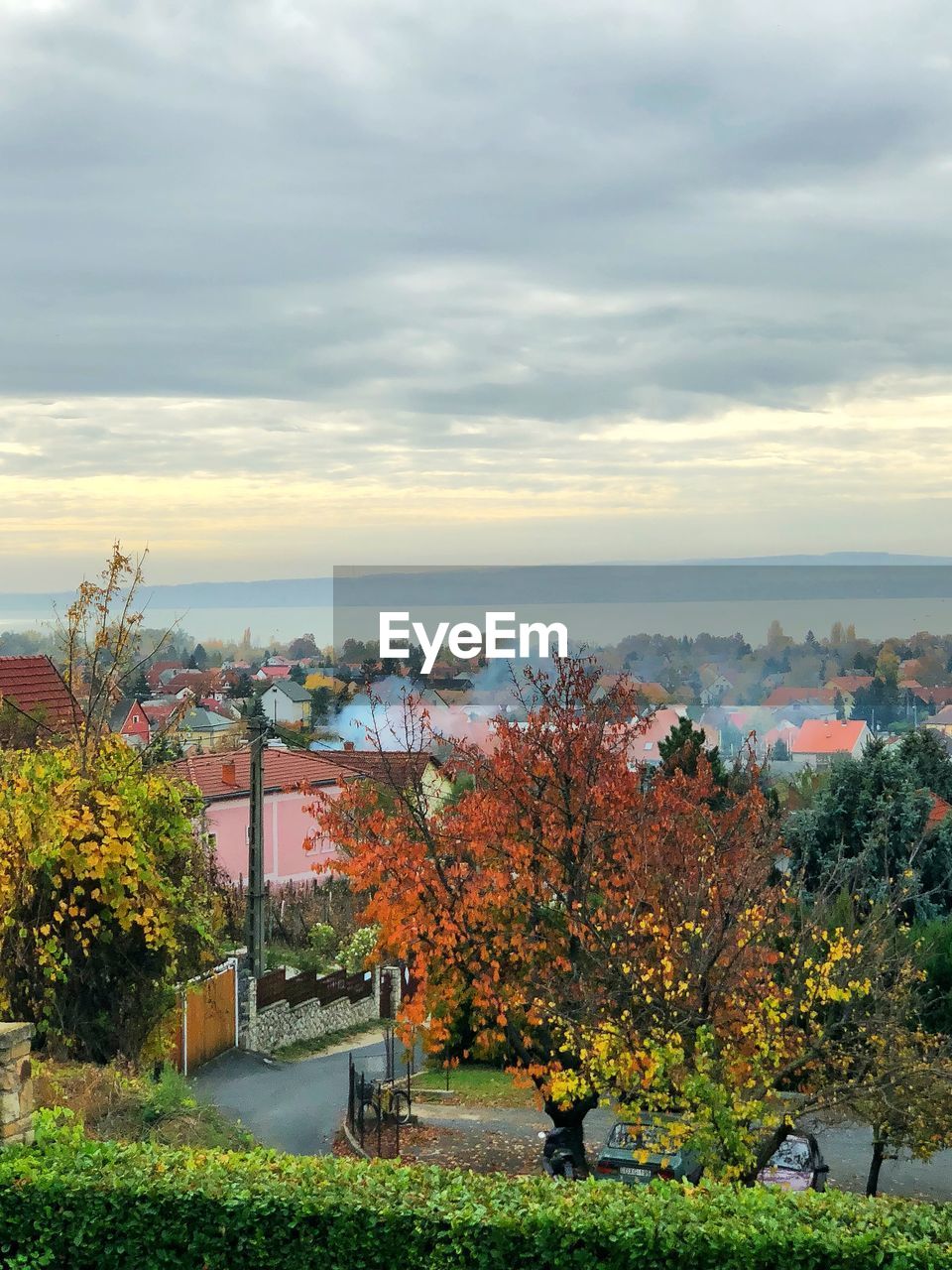 TREES AND PLANTS AGAINST BUILDINGS DURING AUTUMN