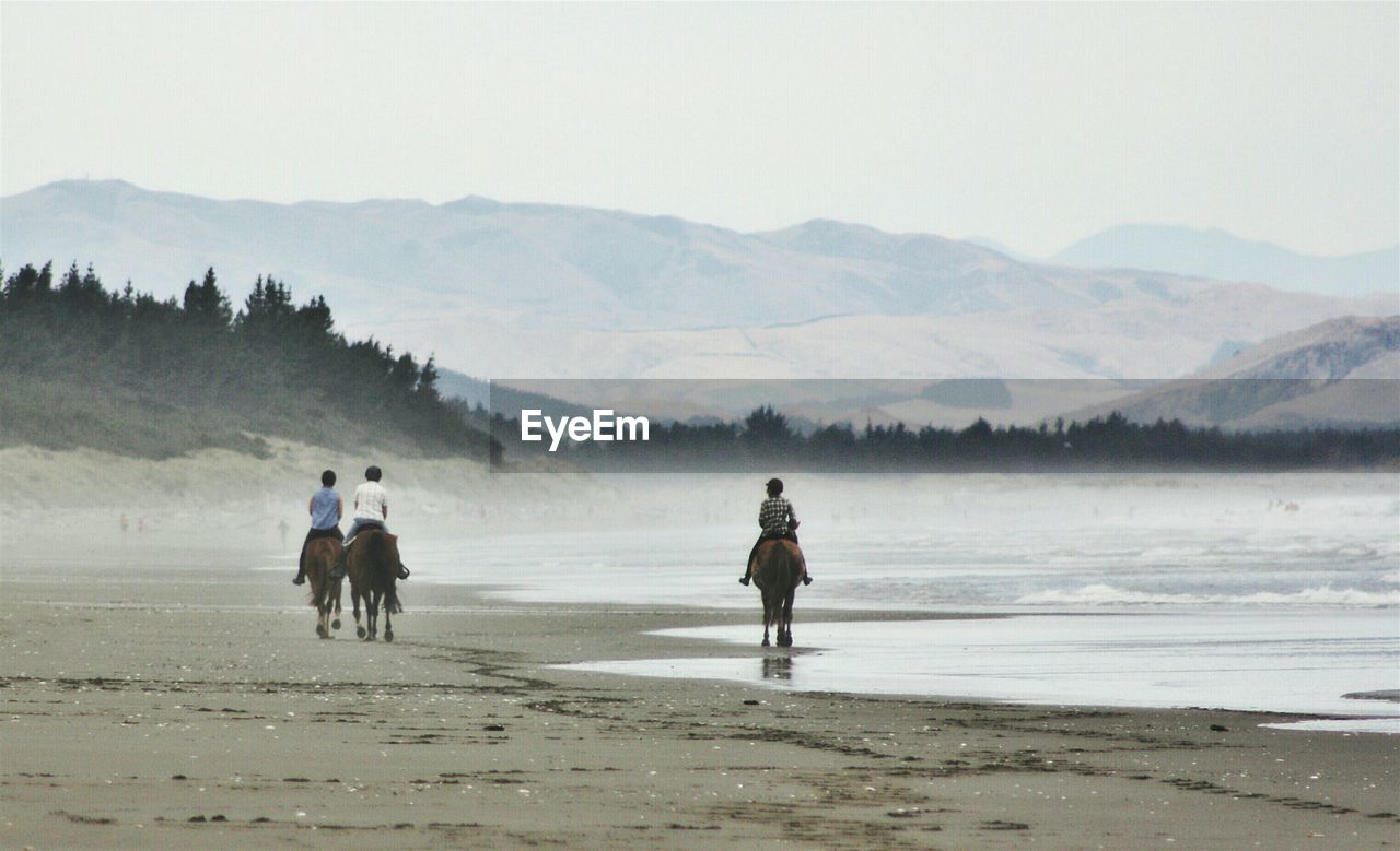 Rear view of people riding horses at beach
