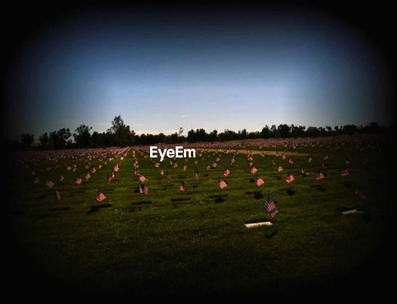 VIEW OF FIELDS AT DUSK