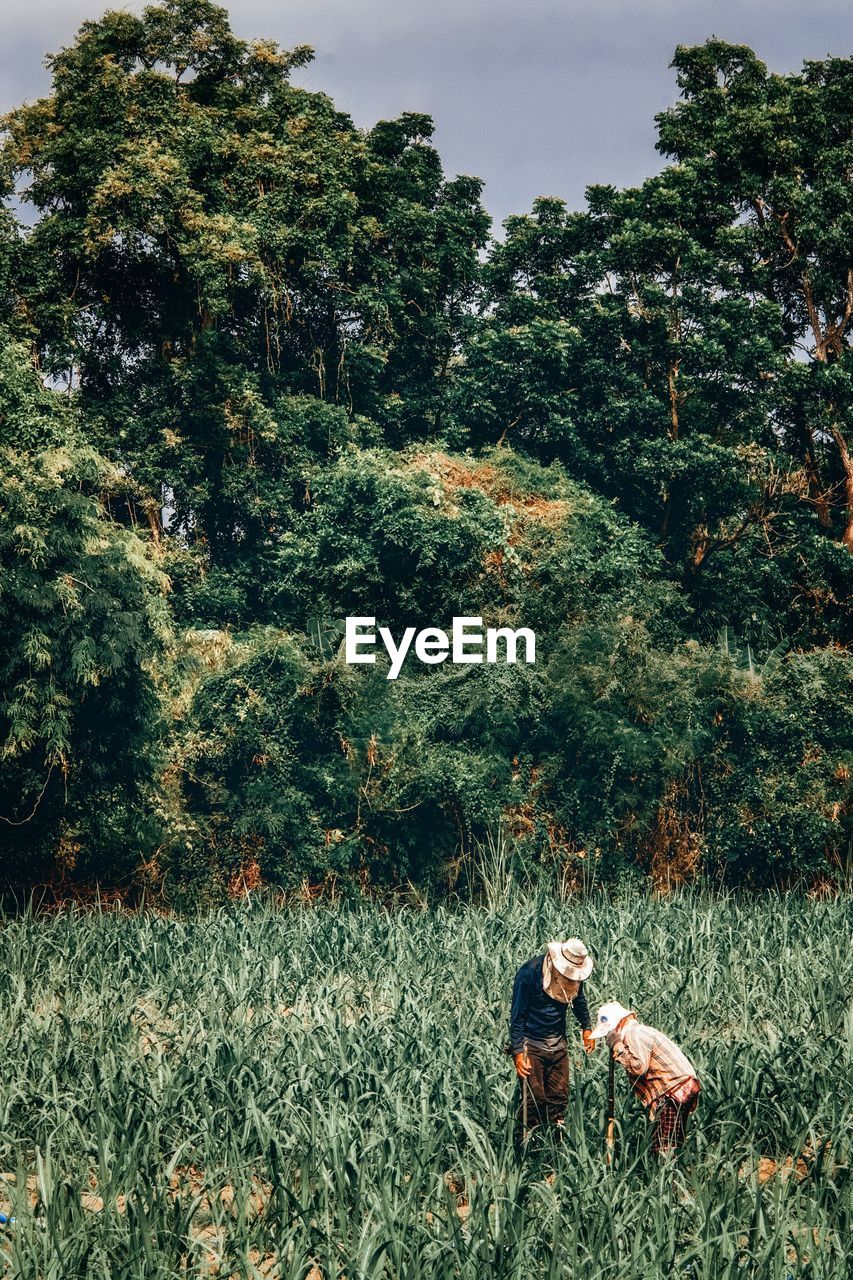 Woman on field by trees