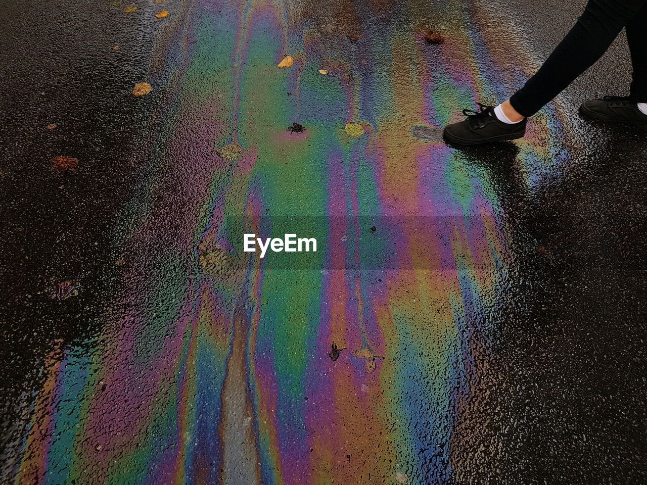 Low section of woman walking on oil spilled road