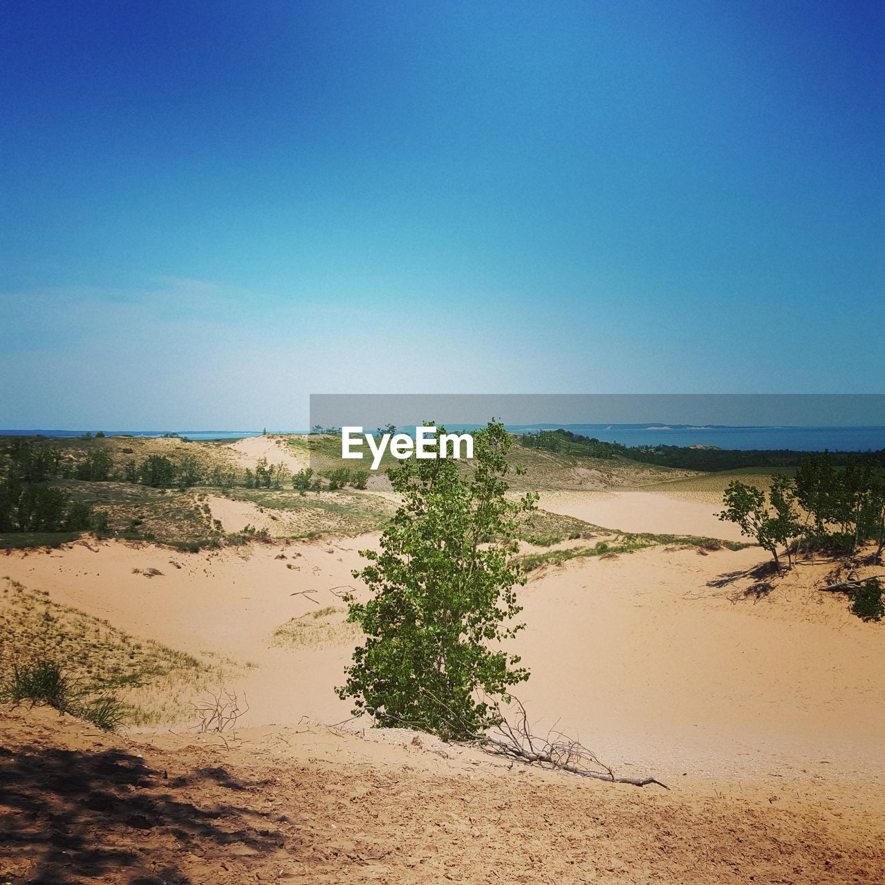 Scenic view of beach against clear blue sky