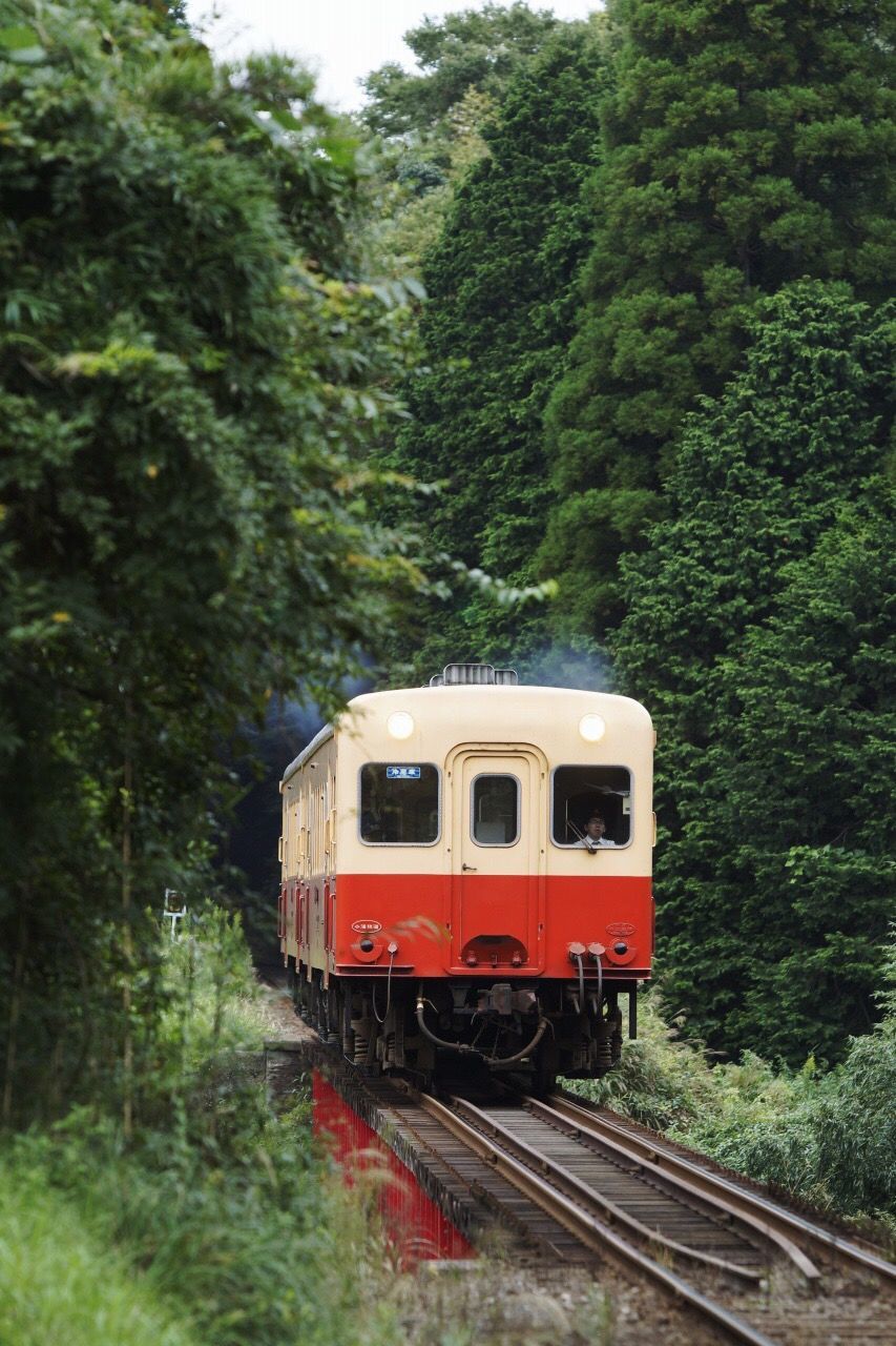 TRAIN ON RAILROAD TRACK