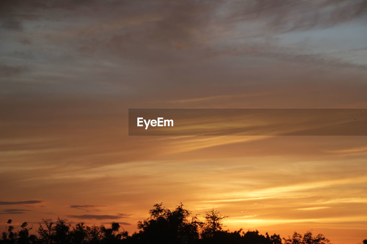 SCENIC VIEW OF SILHOUETTE TREES AGAINST SKY DURING SUNSET