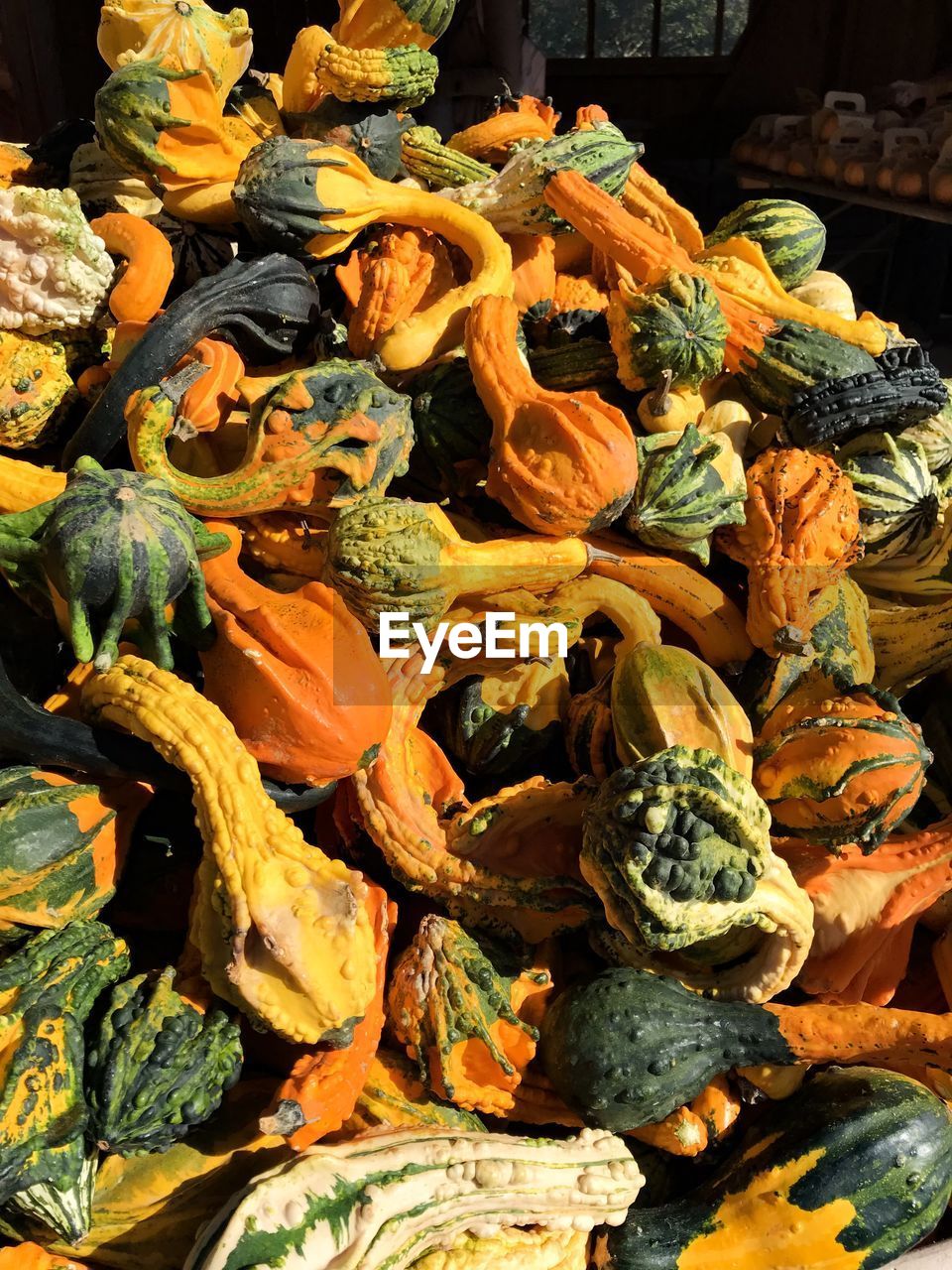 Full frame shot of pumpkins