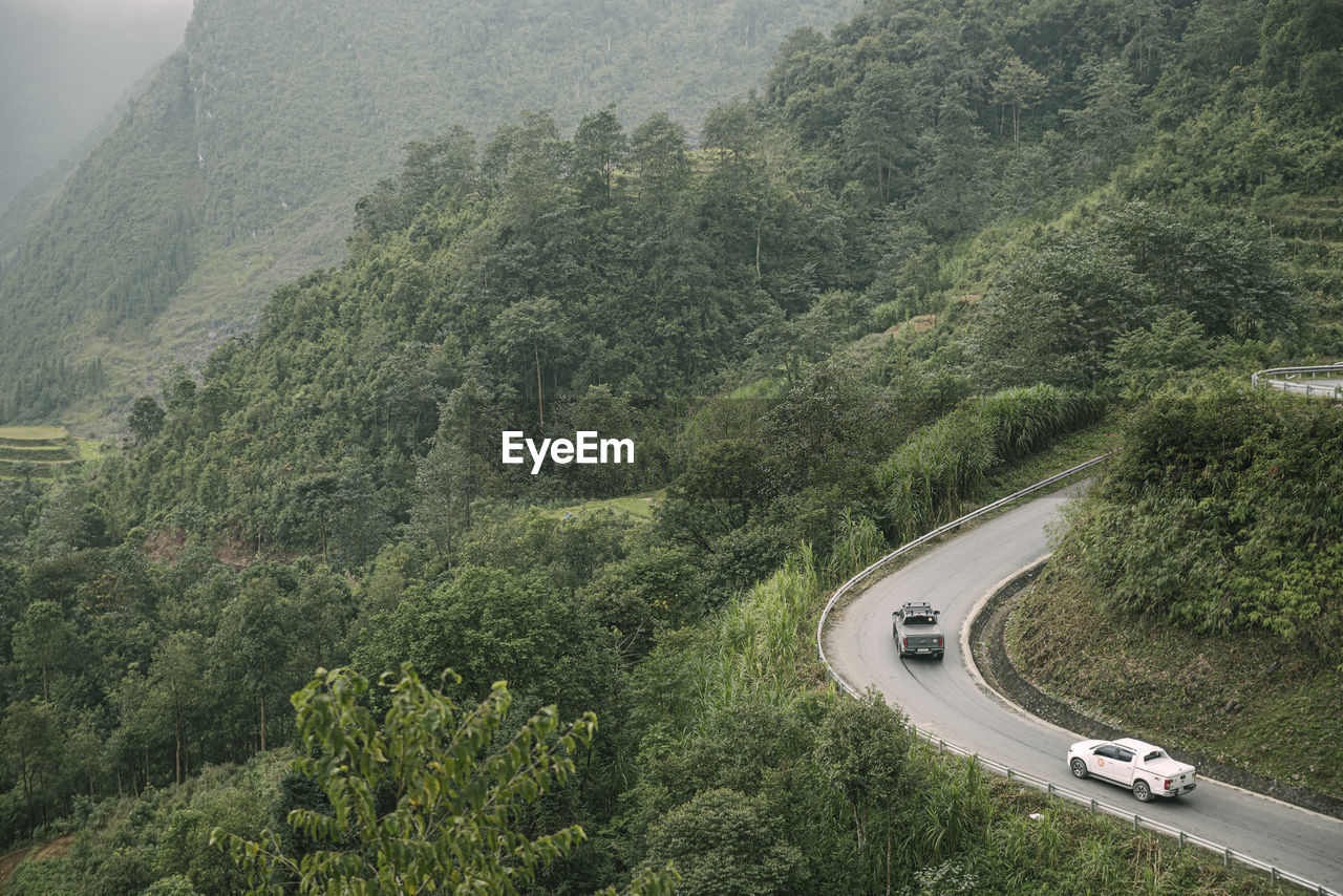 High angle view of road amidst trees in forest