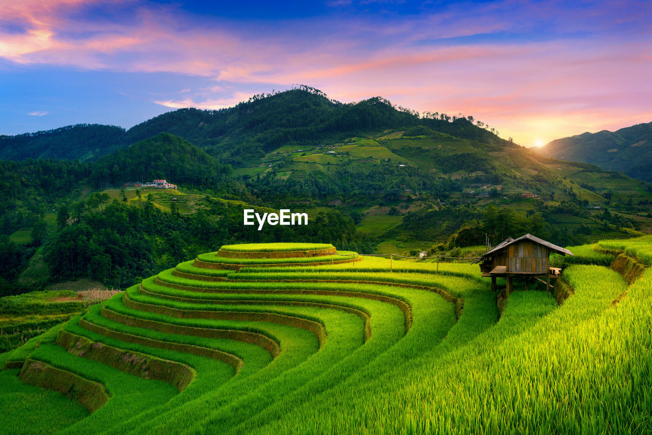 scenic view of agricultural field against mountain