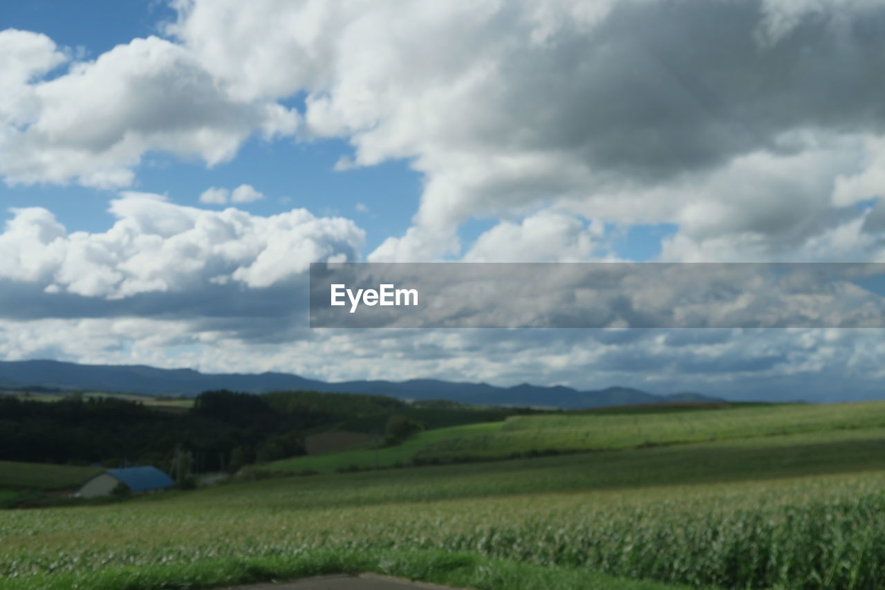 SCENIC VIEW OF AGRICULTURAL LANDSCAPE AGAINST SKY