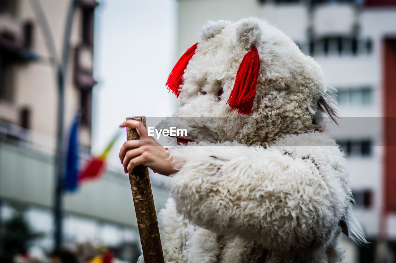 Person in costume standing outdoors