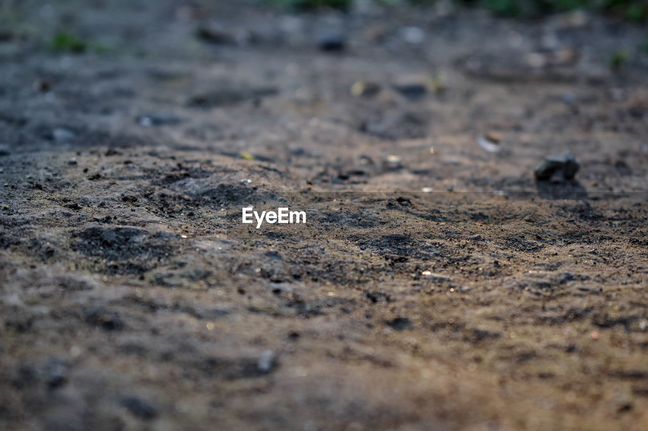 CLOSE-UP OF SAND