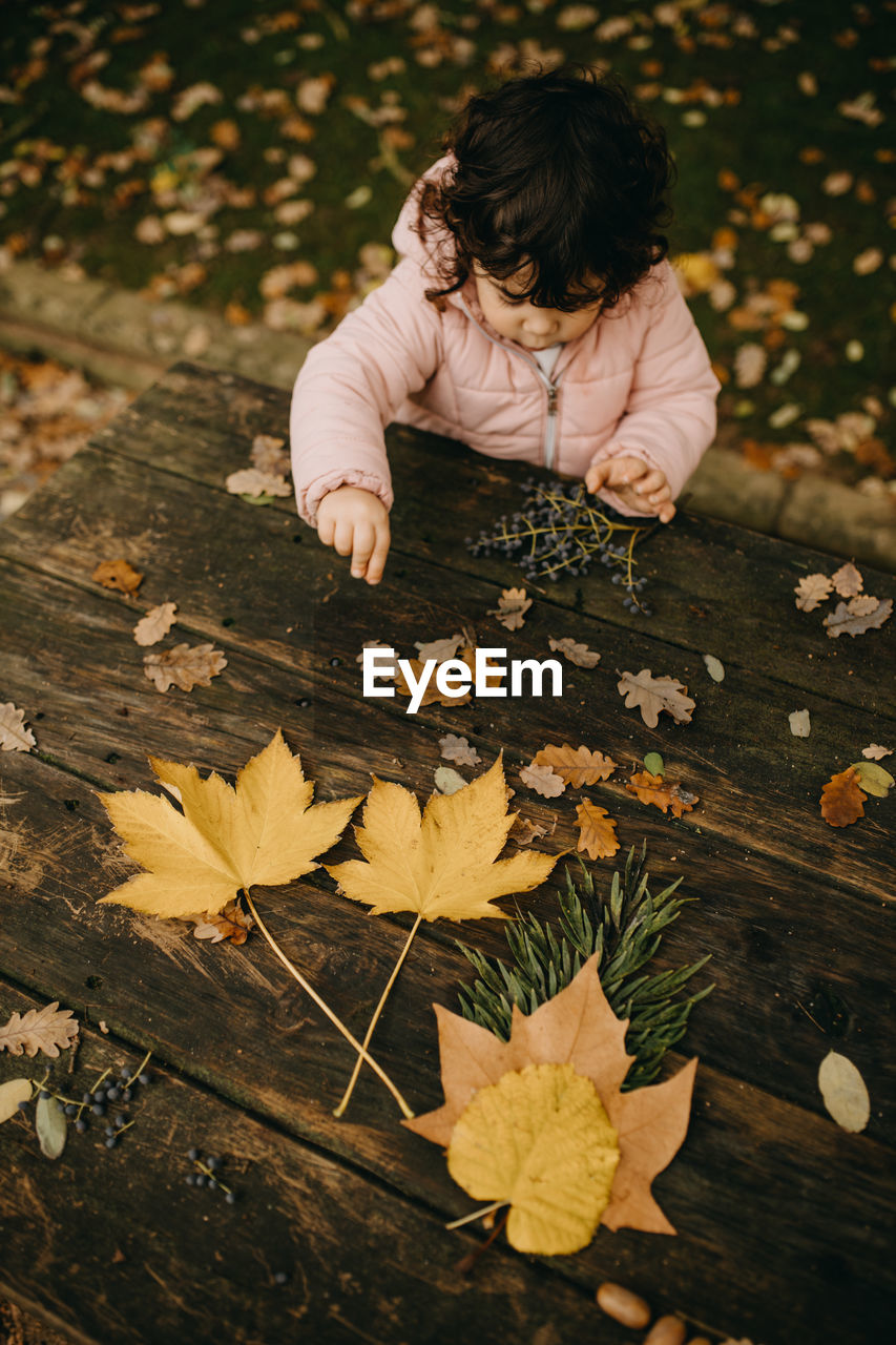 HIGH ANGLE VIEW OF BOY ON DRY LEAVES