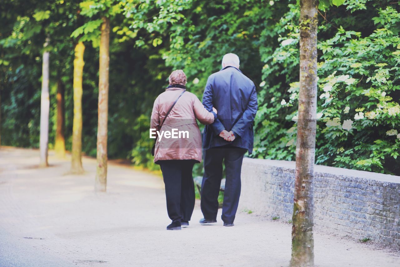 Full length rear view of couple walking in sidewalk by trees