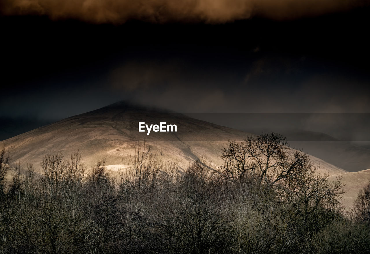 VIEW OF BARE TREES AGAINST SKY