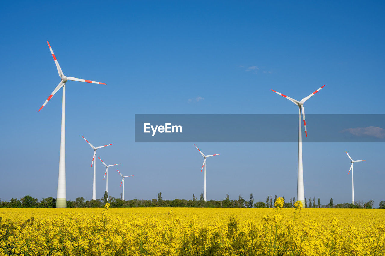 Wind turbines and a field of flowering rapeseed seen in germany