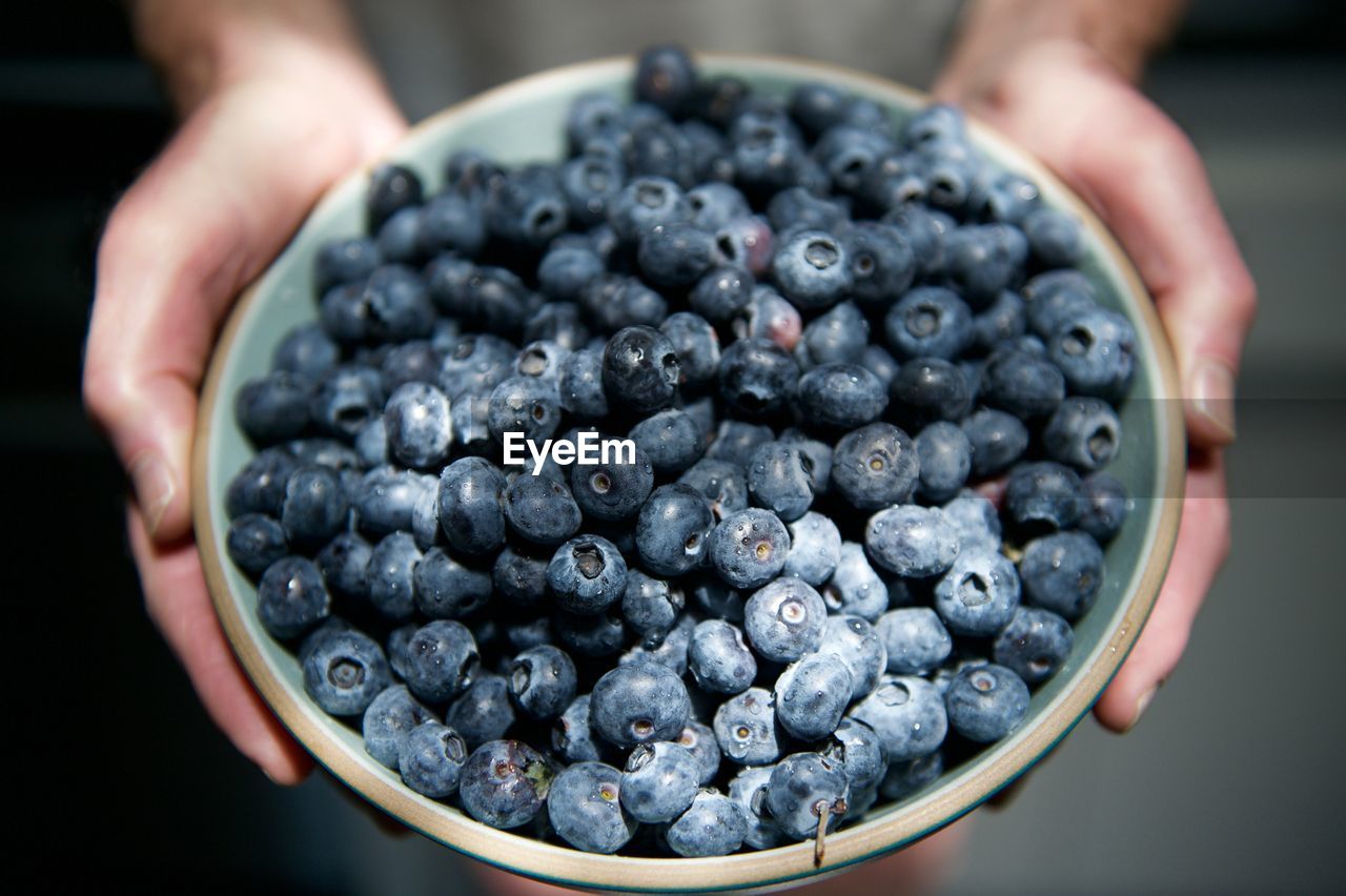 Cropped image of farmer holding blueberries in bowl