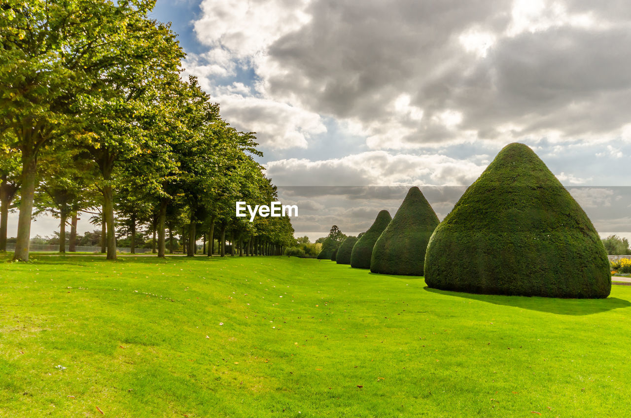 PANORAMIC VIEW OF TREES ON LANDSCAPE AGAINST CLOUDY SKY