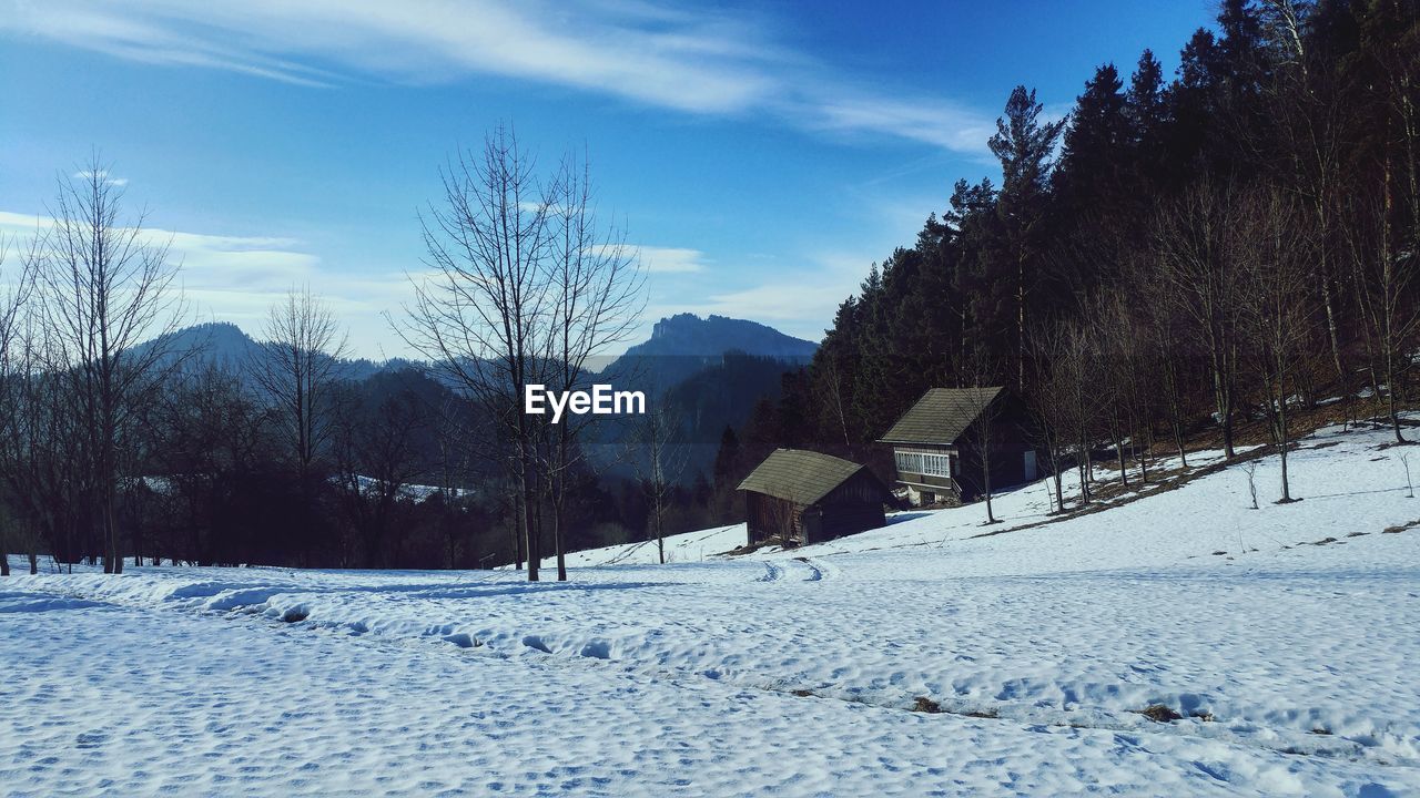 SNOW COVERED LAND AND TREES AGAINST SKY