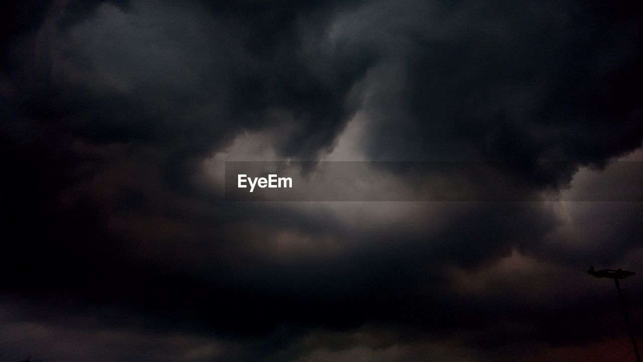 LOW ANGLE VIEW OF CLOUDY SKY OVER TREES