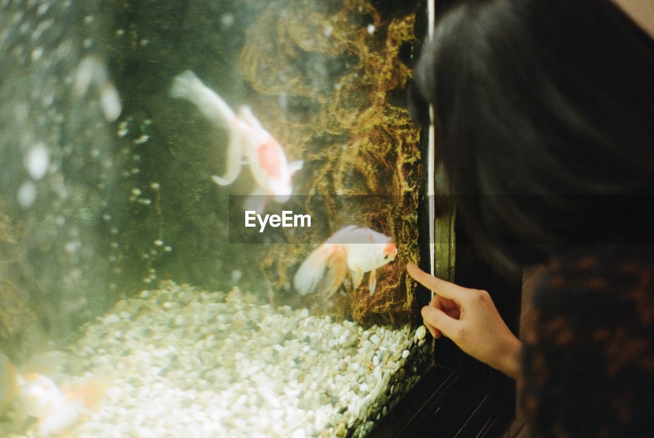 High angle view of woman touching fish tank at aquarium