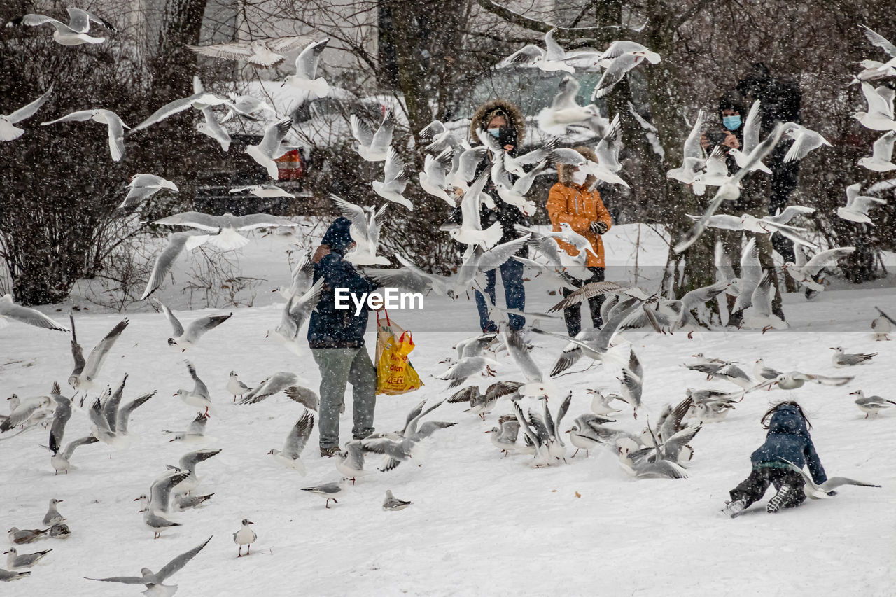 GROUP OF PEOPLE ON SNOW COVERED LANDSCAPE