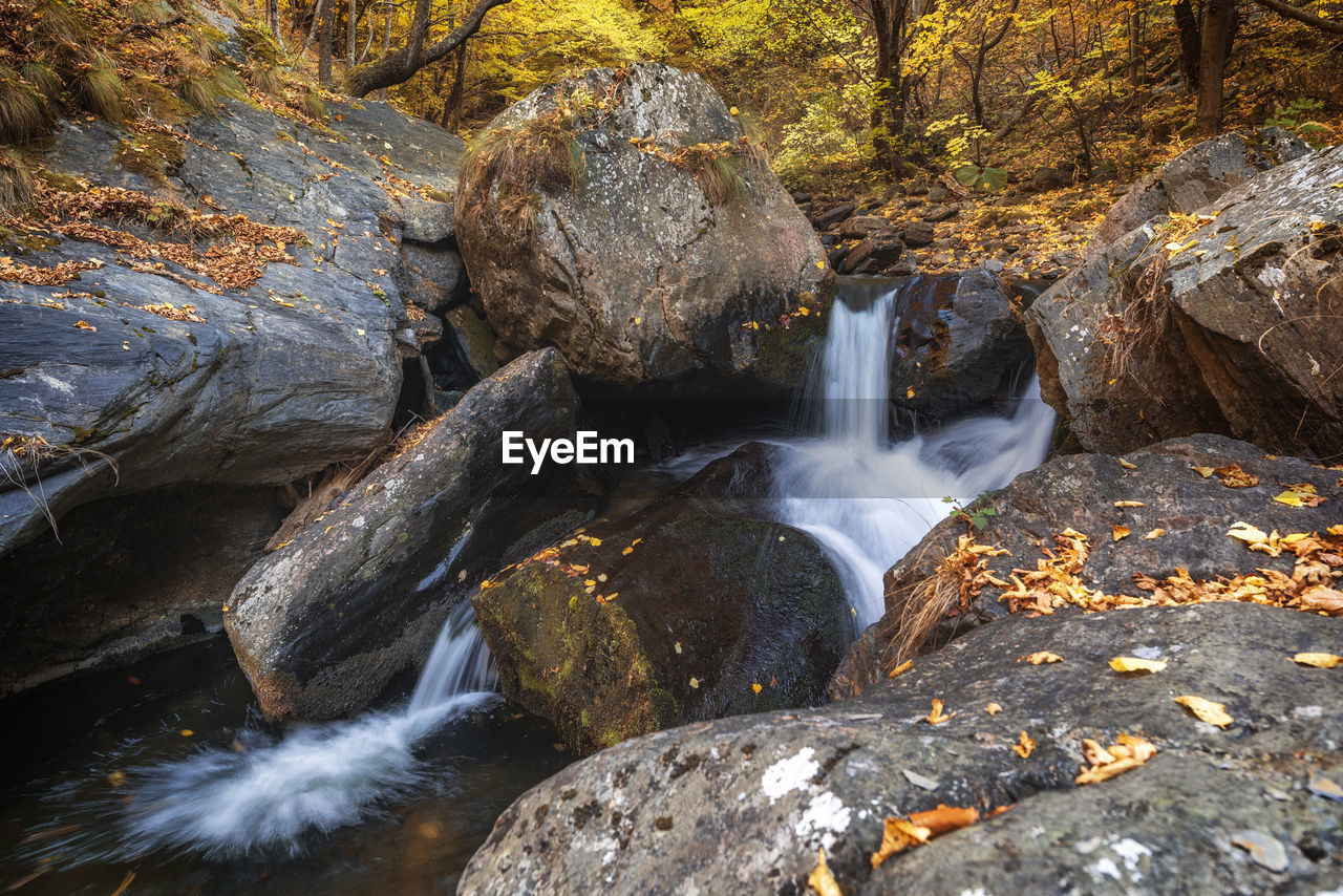 WATER FLOWING THROUGH ROCKS IN FOREST