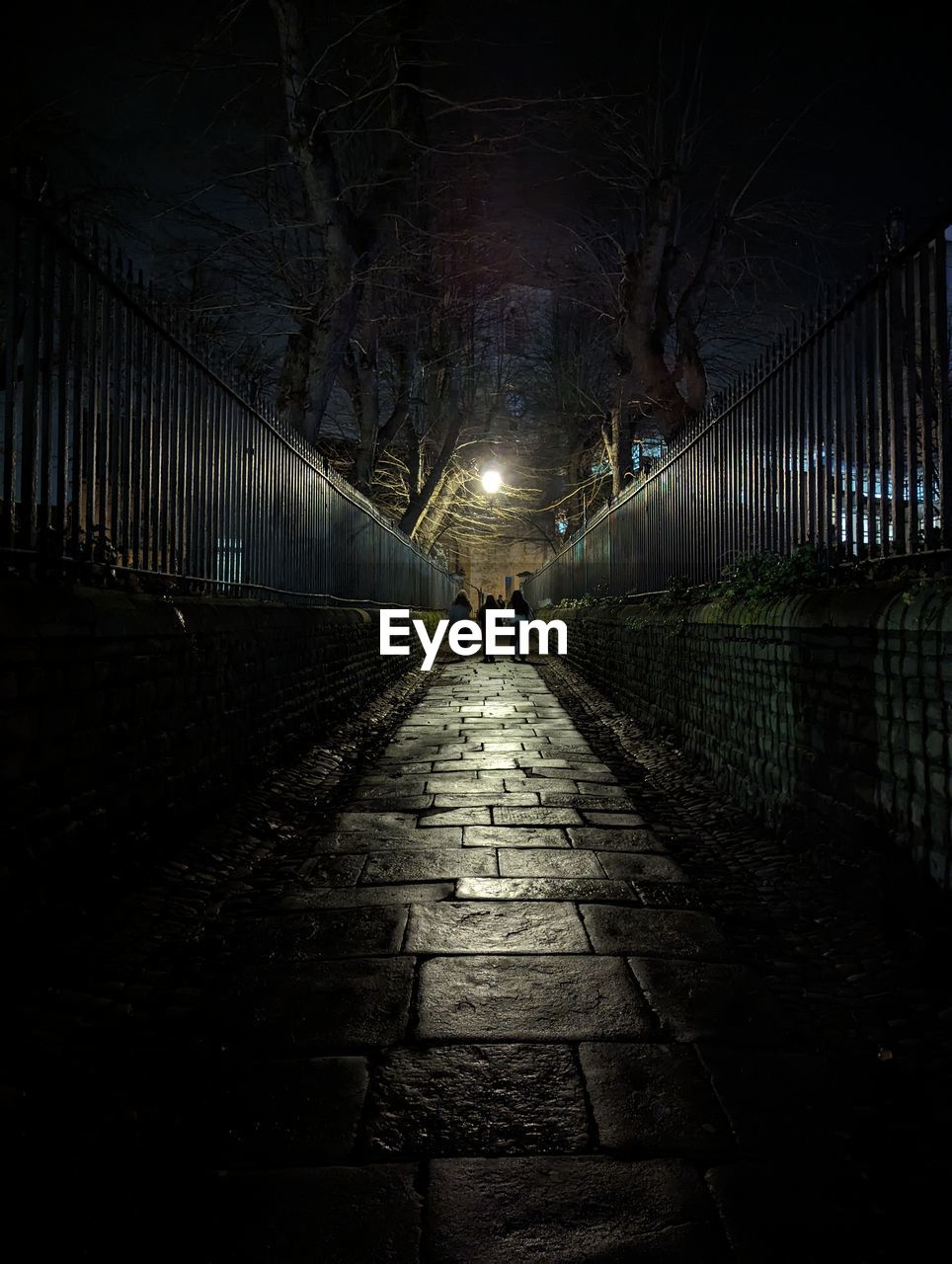 darkness, night, light, architecture, footpath, the way forward, illuminated, reflection, city, built structure, lighting, street, transportation, diminishing perspective, evening, walking, lighting equipment, nature, dark, outdoors, vanishing point, cobblestone, midnight, tunnel, black, bridge, tree, street light
