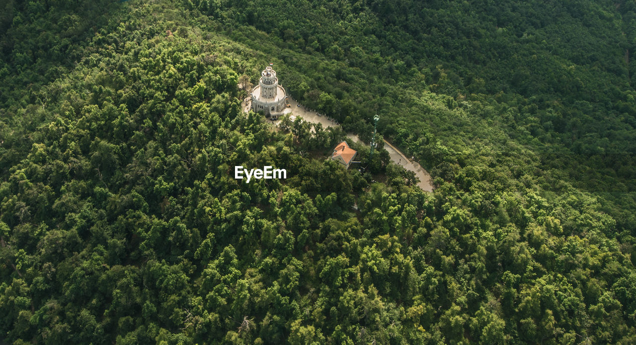 High angle view of building amidst trees on hill in forest