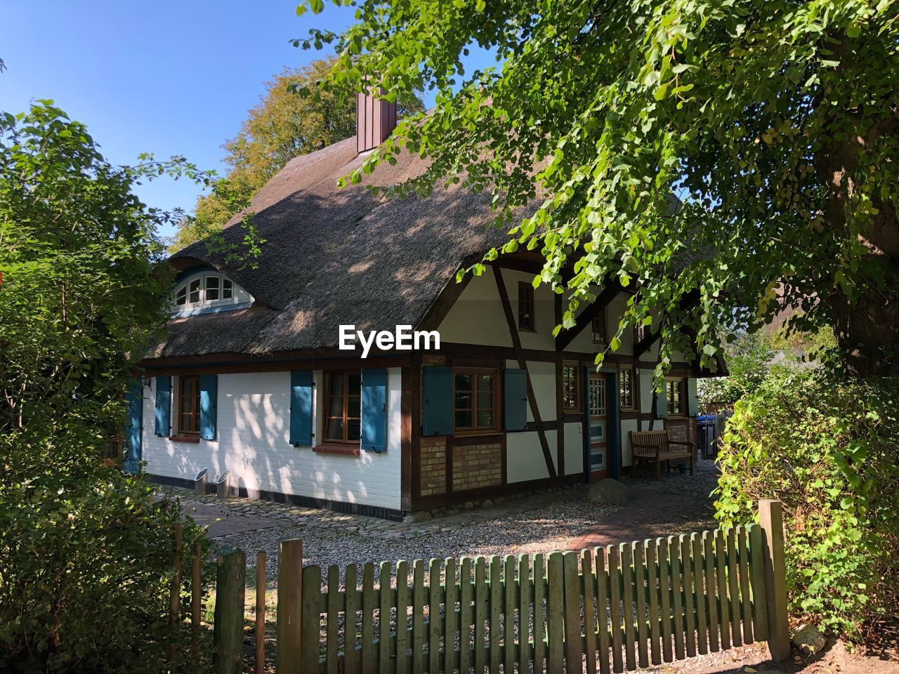 HOUSE AMIDST TREES AND BUILDING