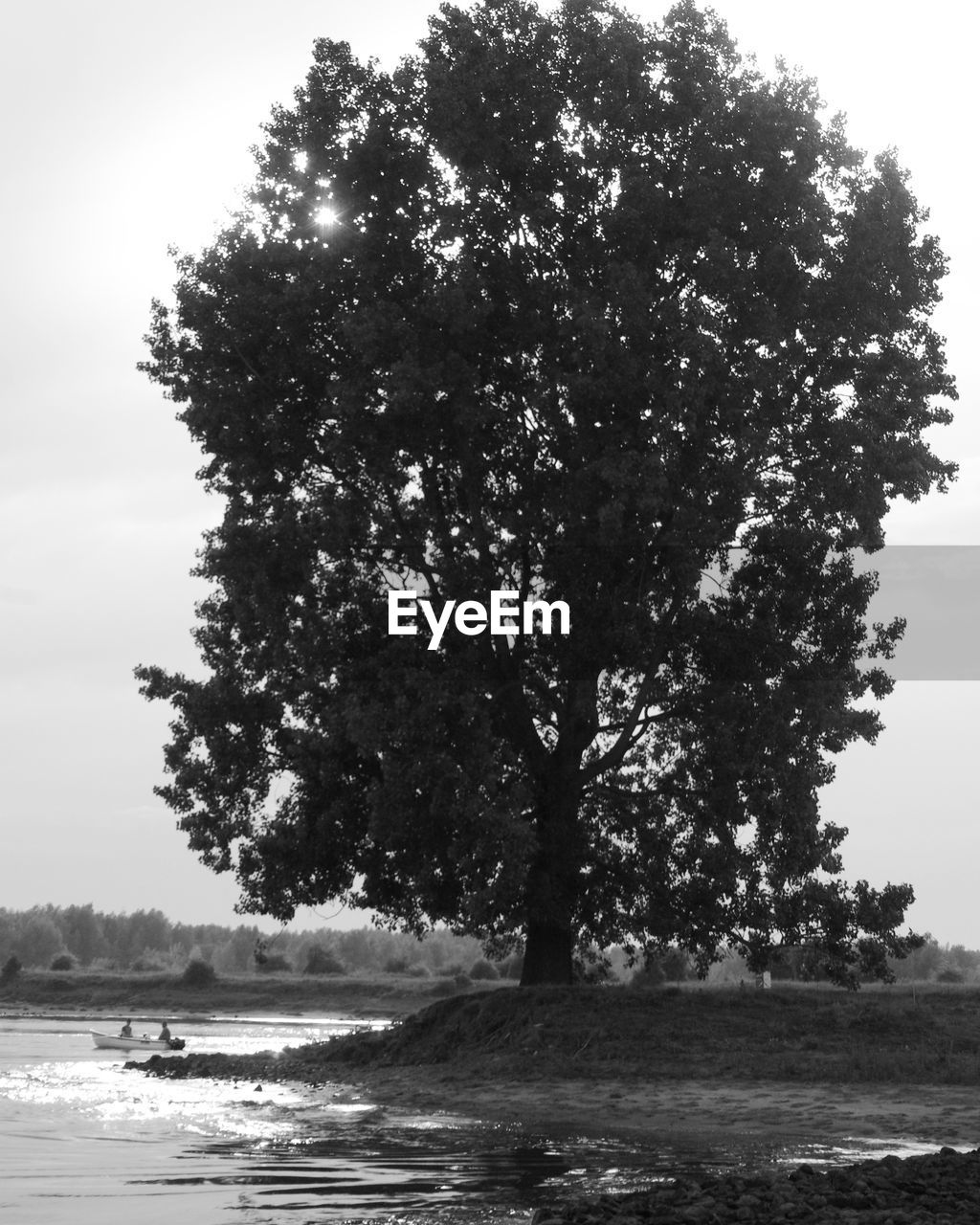 TREES ON BEACH AGAINST SKY
