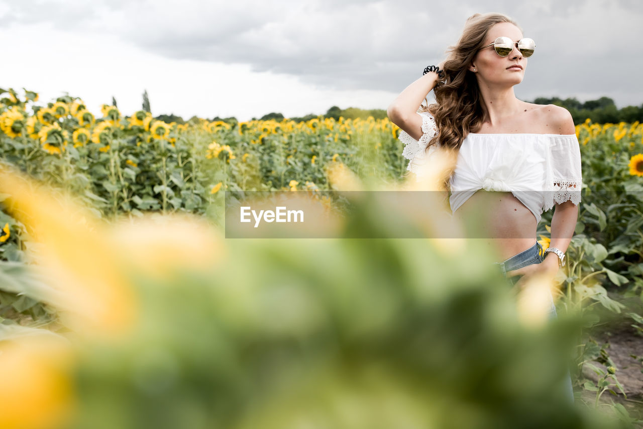 A young girl with a model appearance, in denim trousers and a white blouse in a sunflower field