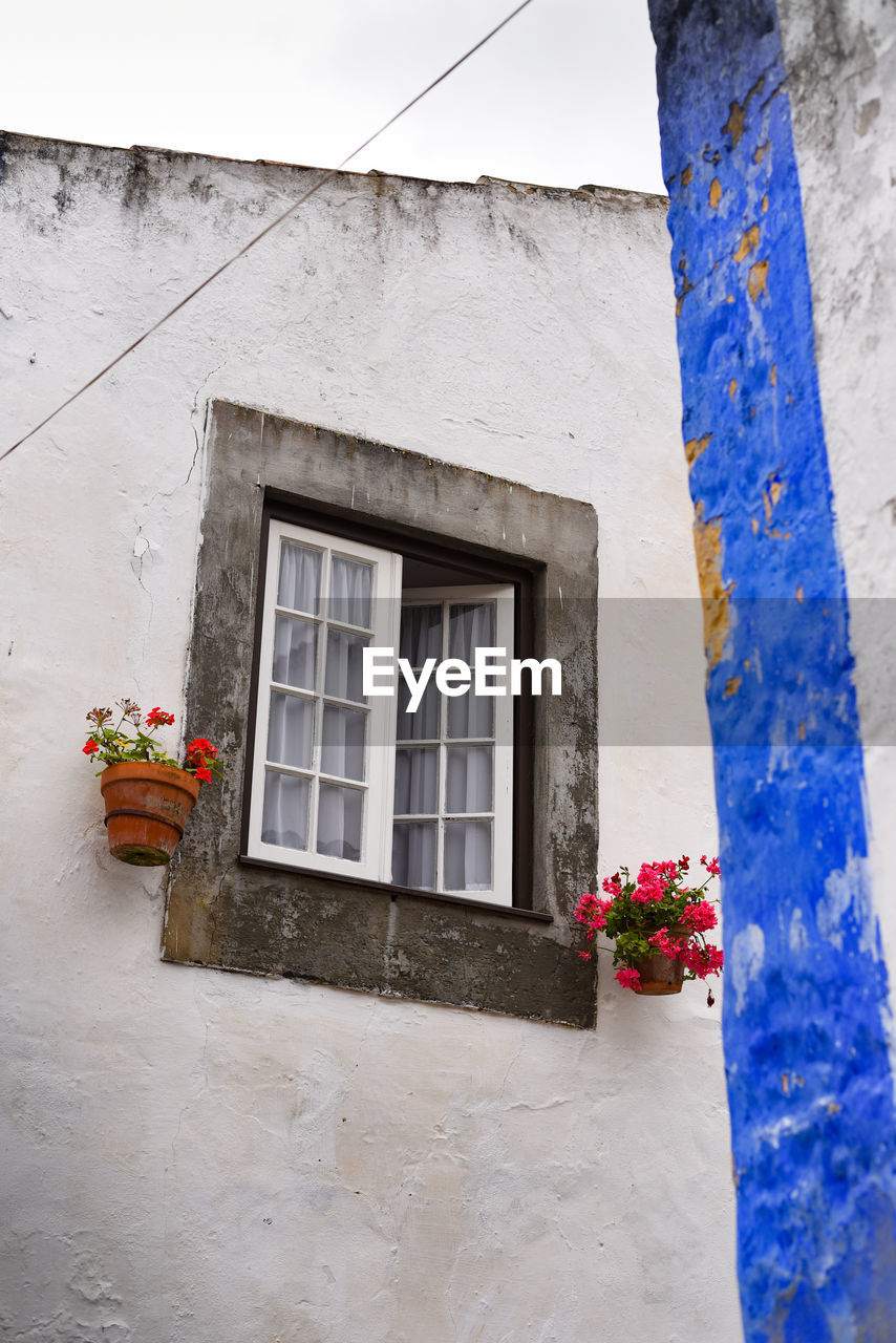 Low angle view of potted plants on wall of building