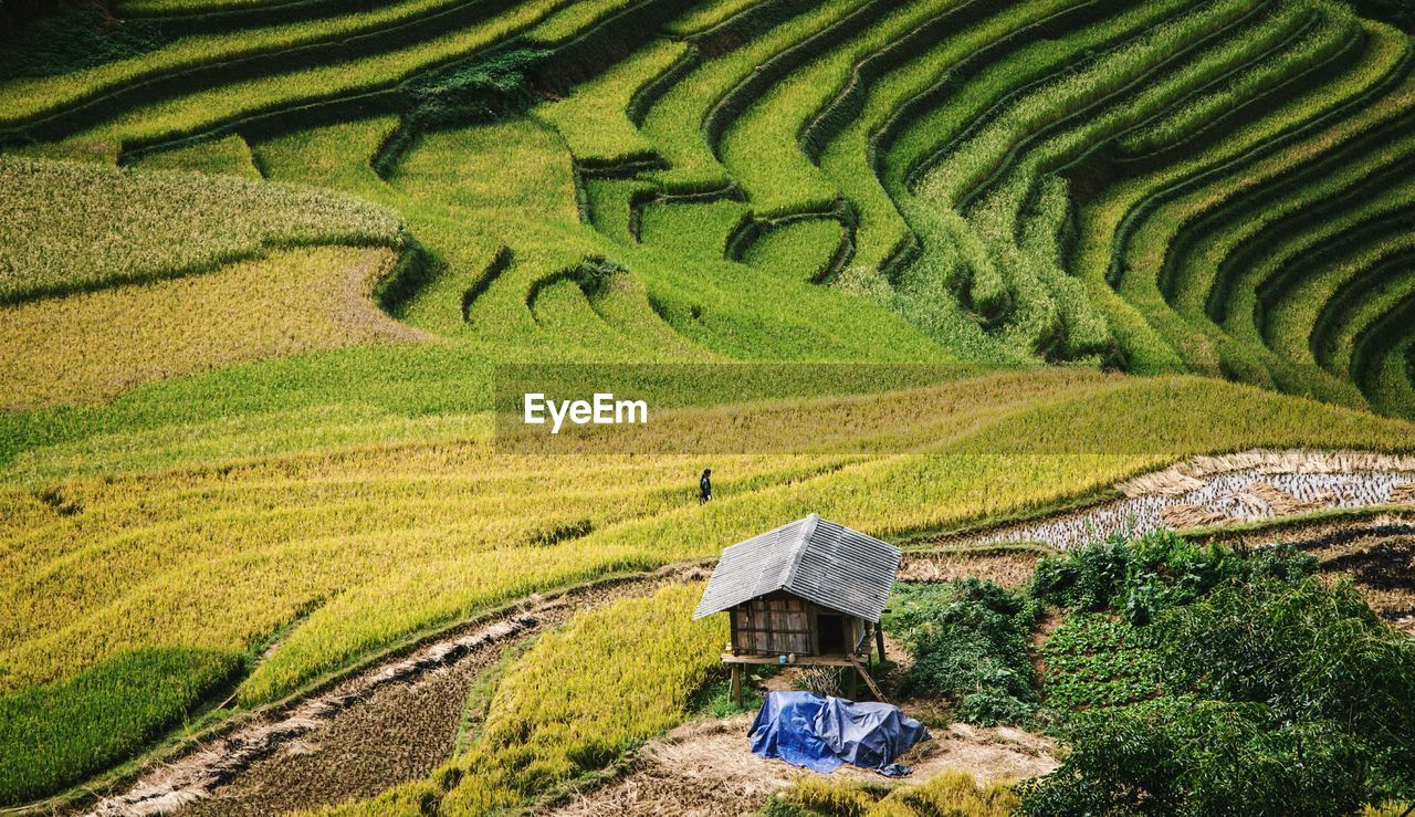 High angle view of terraced field in mù cang ch?i 