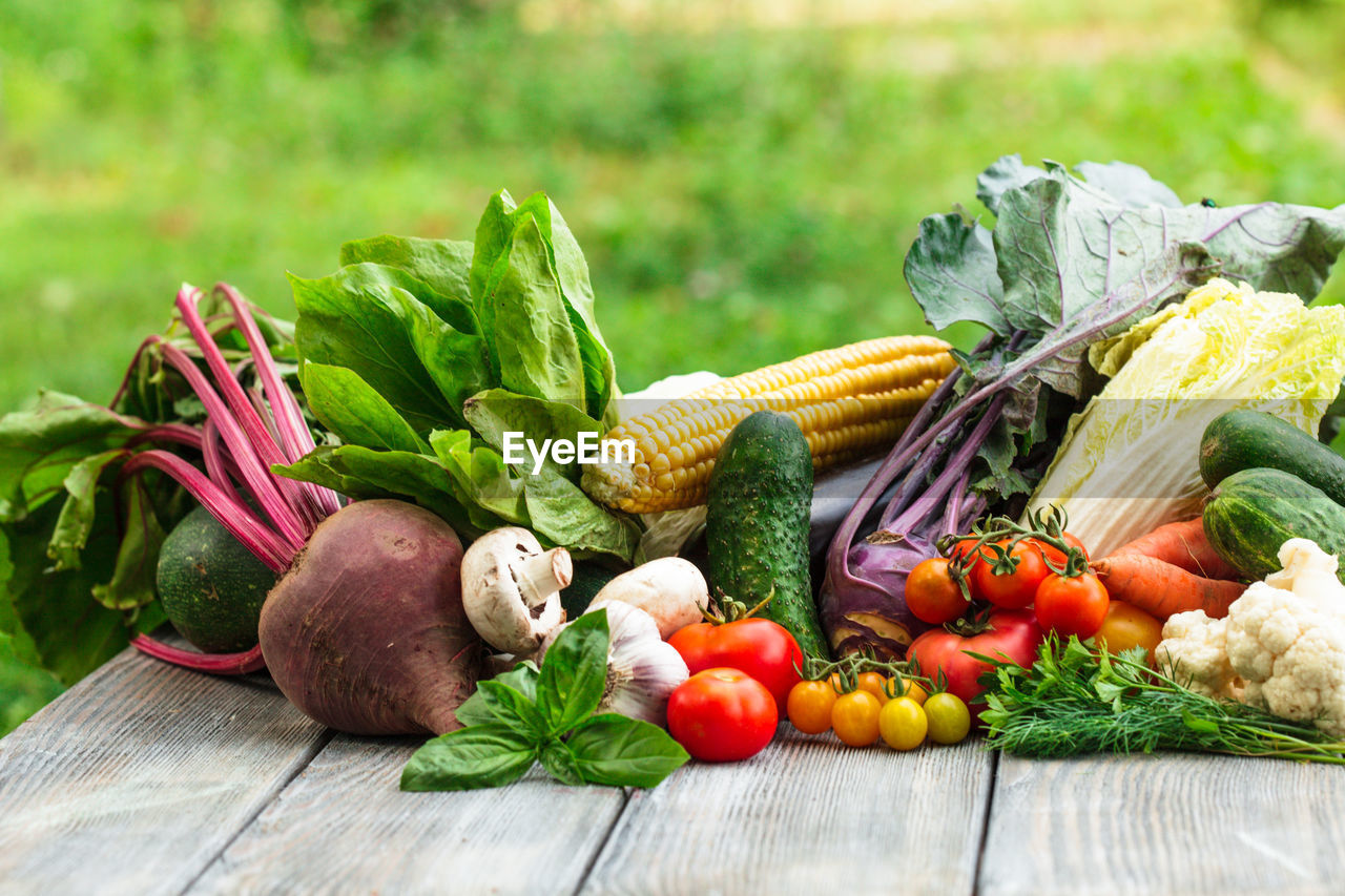 VEGETABLES ON BASKET