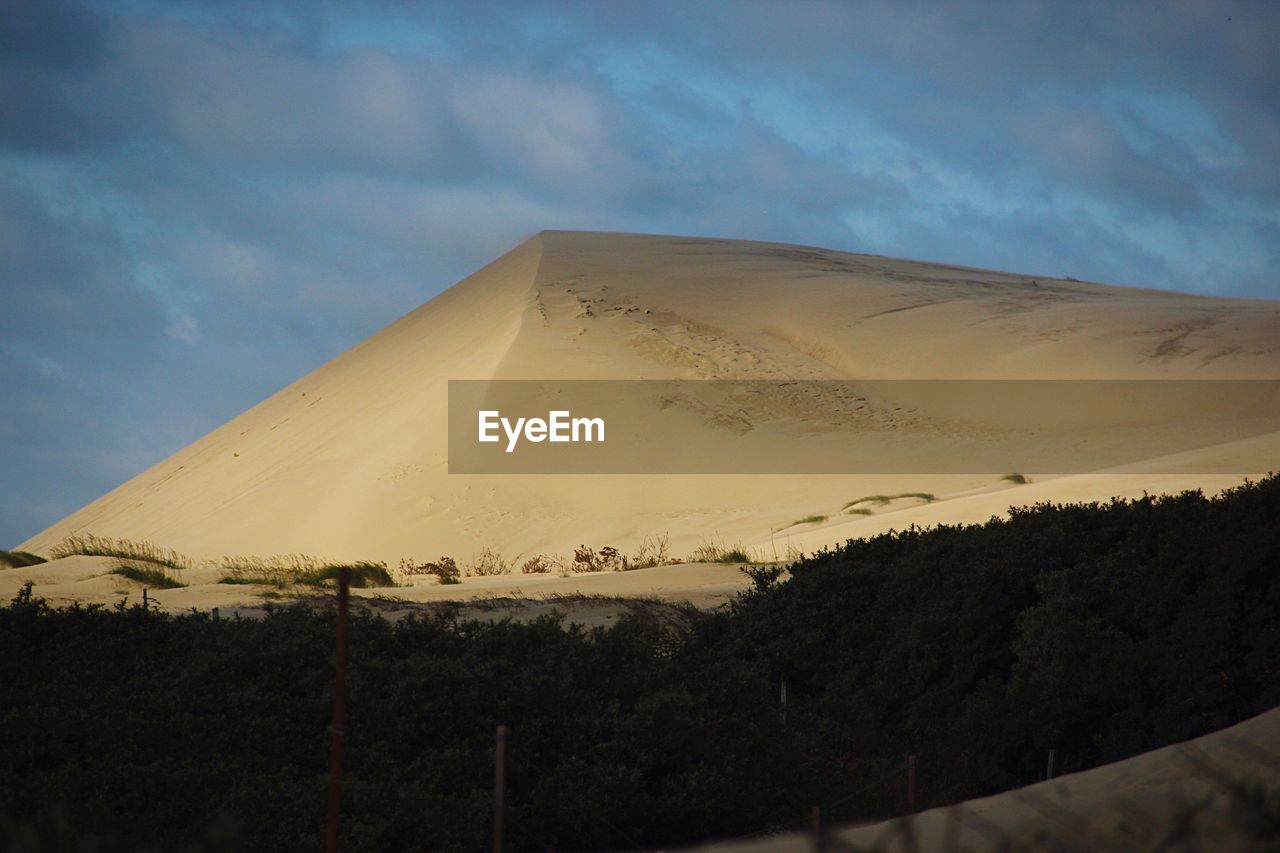 LOW ANGLE VIEW OF SAND DUNES IN DESERT