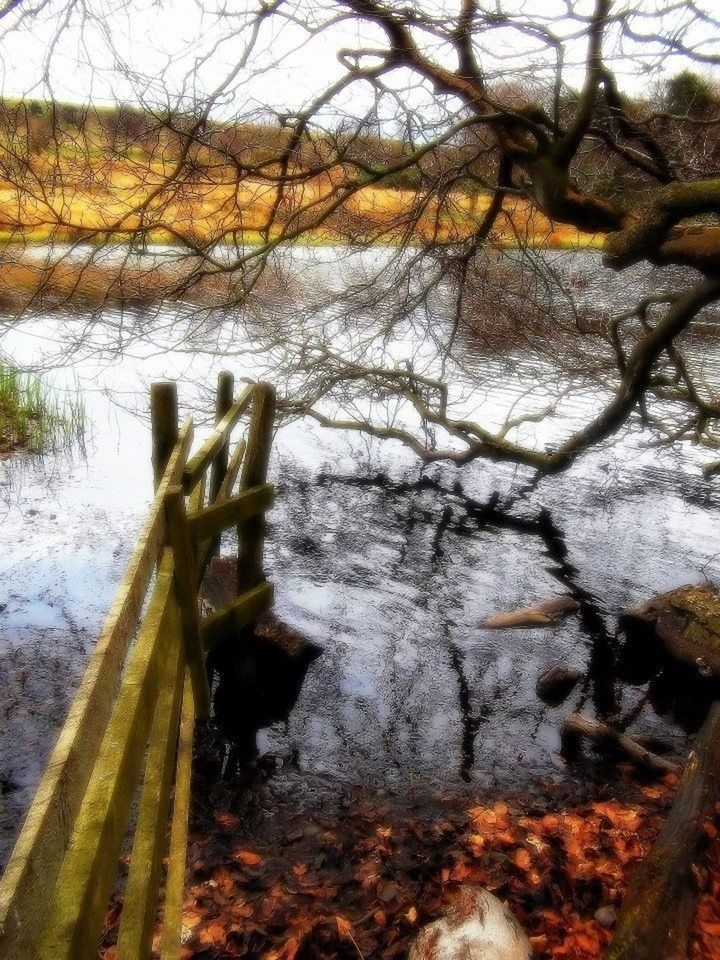 SCENIC VIEW OF RIVER