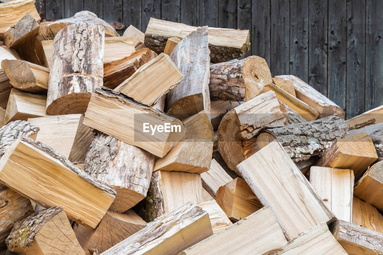 CLOSE-UP OF LOGS IN FOREST