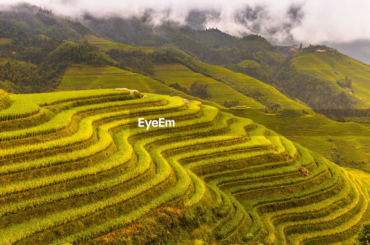 SCENIC VIEW OF AGRICULTURAL FIELD AGAINST MOUNTAIN