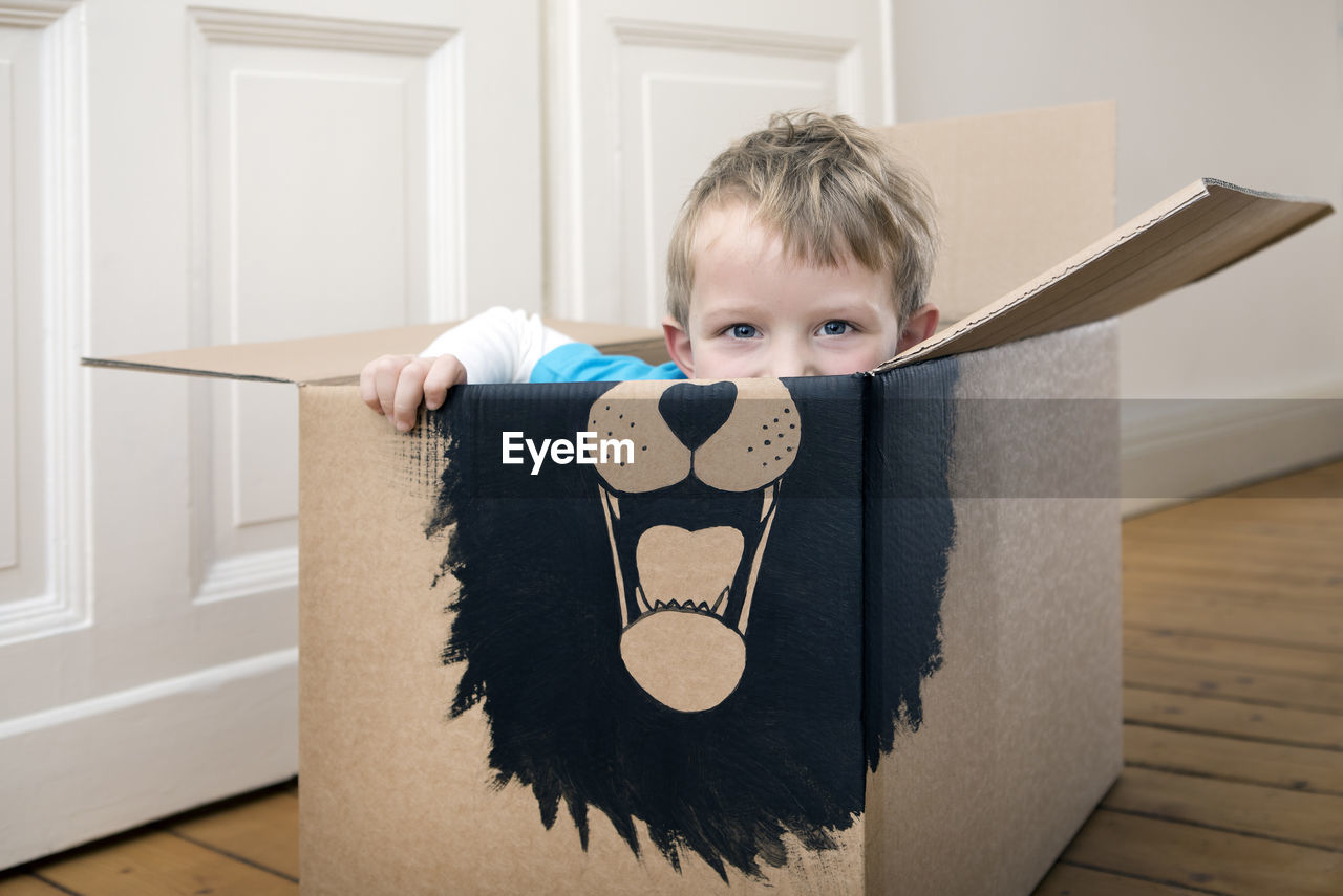 Boy inside a cardboard box painted with a lion