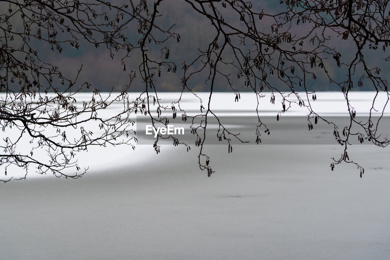 Scenic view of tree branches against frozen lake  during winter