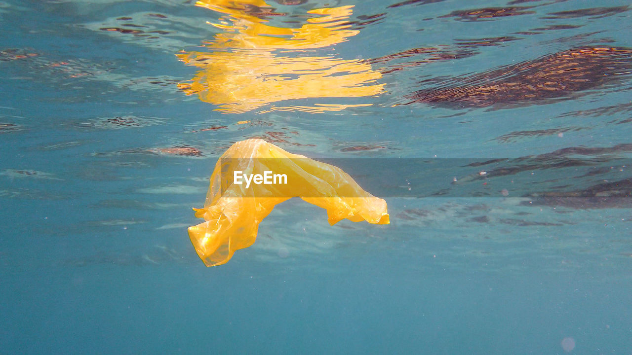 high angle view of man swimming in lake