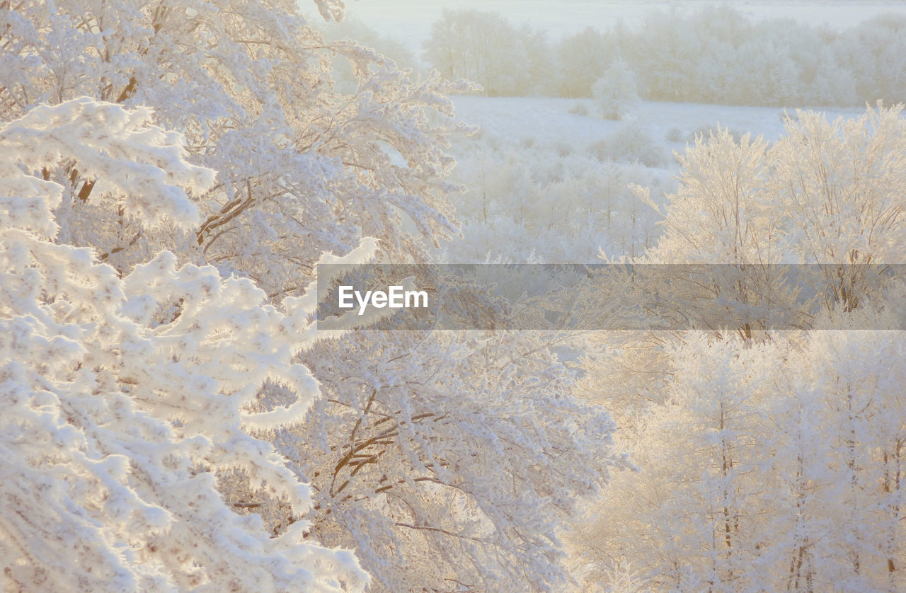 CLOSE-UP OF SNOW ON WATER