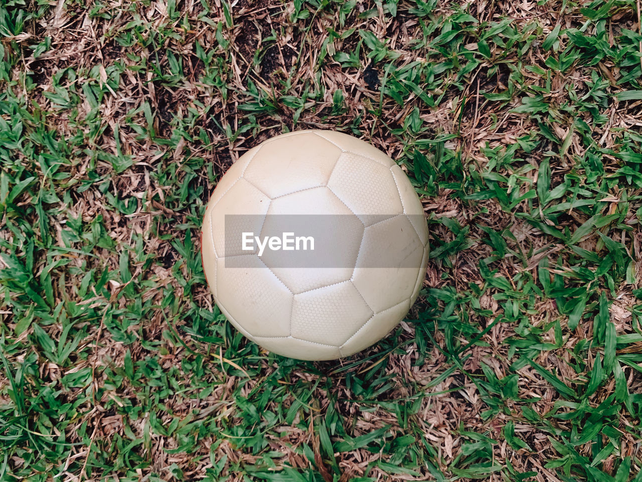 HIGH ANGLE VIEW OF BALL ON SOCCER FIELD