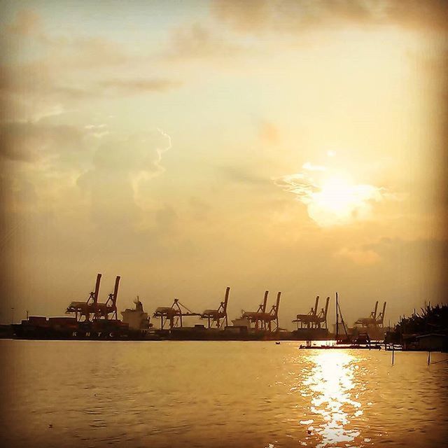SILHOUETTE OF CRANES AT SUNSET