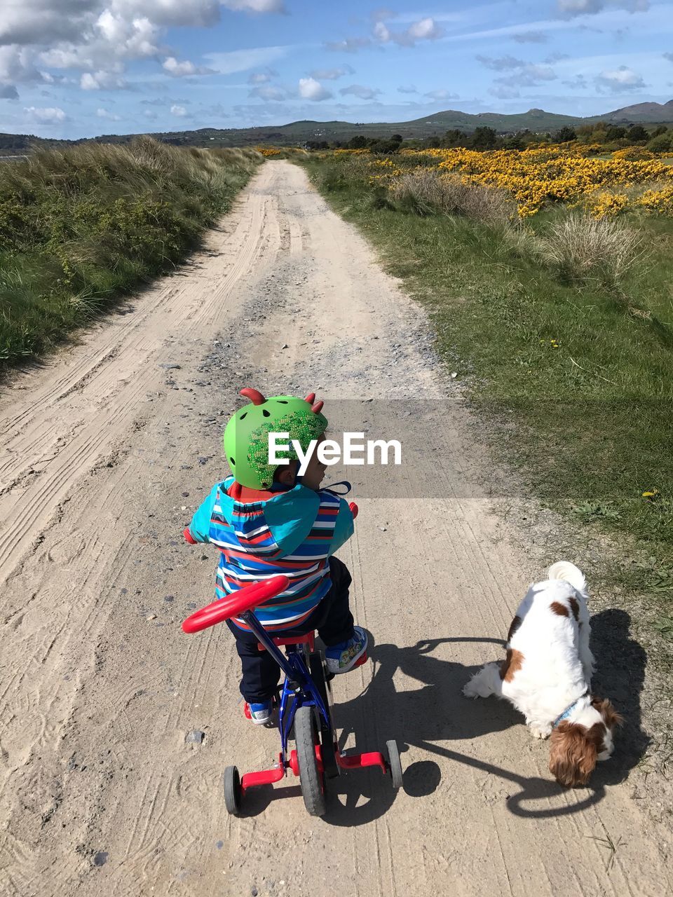 Rear view of boy on tricycle with dog amidst dirt road