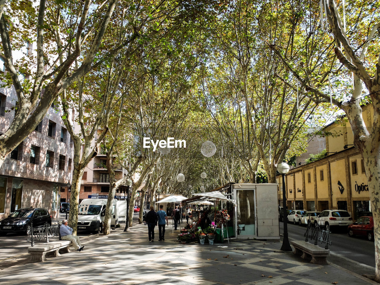 People on street amidst trees in city